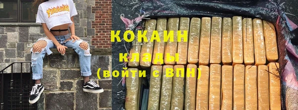 твердый Майский
