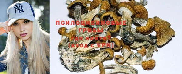 твердый Майский