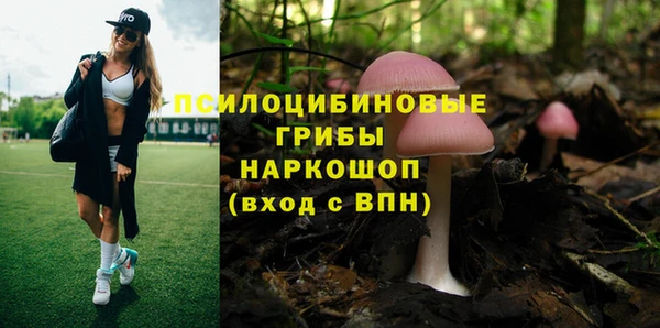 твердый Майский