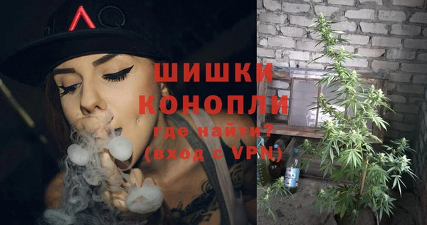 ECSTASY Лагань