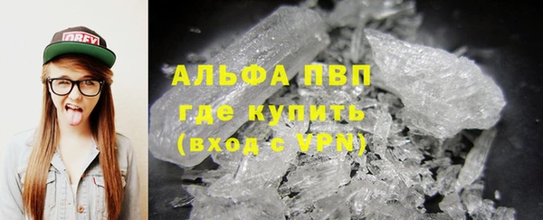 ECSTASY Лагань